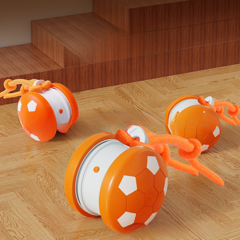 Bite Resistant Cat Toy Ball with Rope