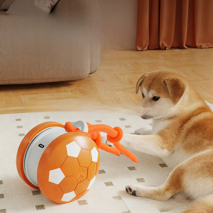 Bite Resistant Cat Toy Ball with Rope