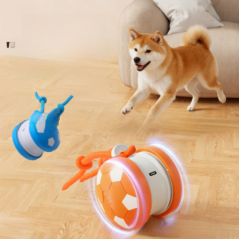 Bite Resistant Cat Toy Ball with Rope