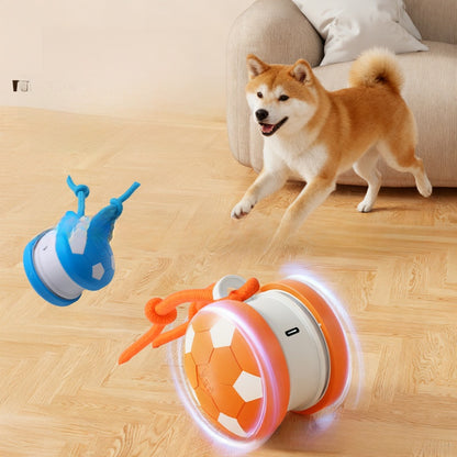 Bite Resistant Cat Toy Ball with Rope