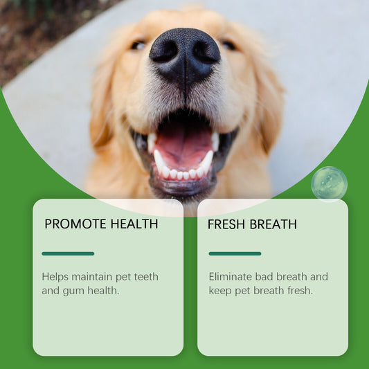 Dog Teeth Cleaning Powder with Measuring Spoon