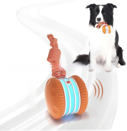 Bite Resistant Cat Toy Ball with Rope